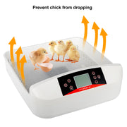 EGG HATCHING INCUBATOR 56-Egg Practical Fully Automatic Poultry Incubator with Egg Candler White for Chickens Ducks Geese Other Birds USA