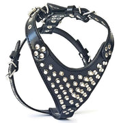 FRENCHIE STUDDED GENUINE LEATHER DOG HARNESS - TOP QUALITY - HANDCRAFTED