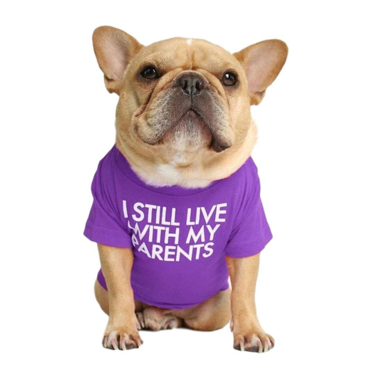 Dog Cotton T-Shirt Quality Breathable Soft Cute Sayings Letters Printed on Shirt for French Bulldog and Small Dogs (Size S - XXL)