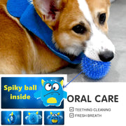 Interactive Dog Toy Squeaker Ball inside plush toy for Small to Large Dogs Play Bite Chew Ball Toys