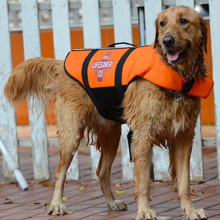 Dog Life Vest Safety Life Jacket  Dog Swimming Wear Outdoor  (Sizes Small to Large)