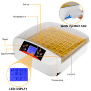 EGG HATCHING INCUBATOR 56-Egg Practical Fully Automatic Poultry Incubator with Egg Candler White for Chickens Ducks Geese Other Birds USA