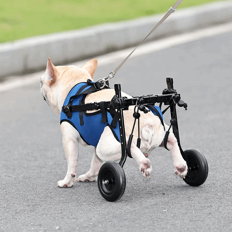 Affortable Dog Wheelchair Disability Adjustable Dog Hind Legs Bracket Cat Dog Injured And Weak Rehabilitation Aid