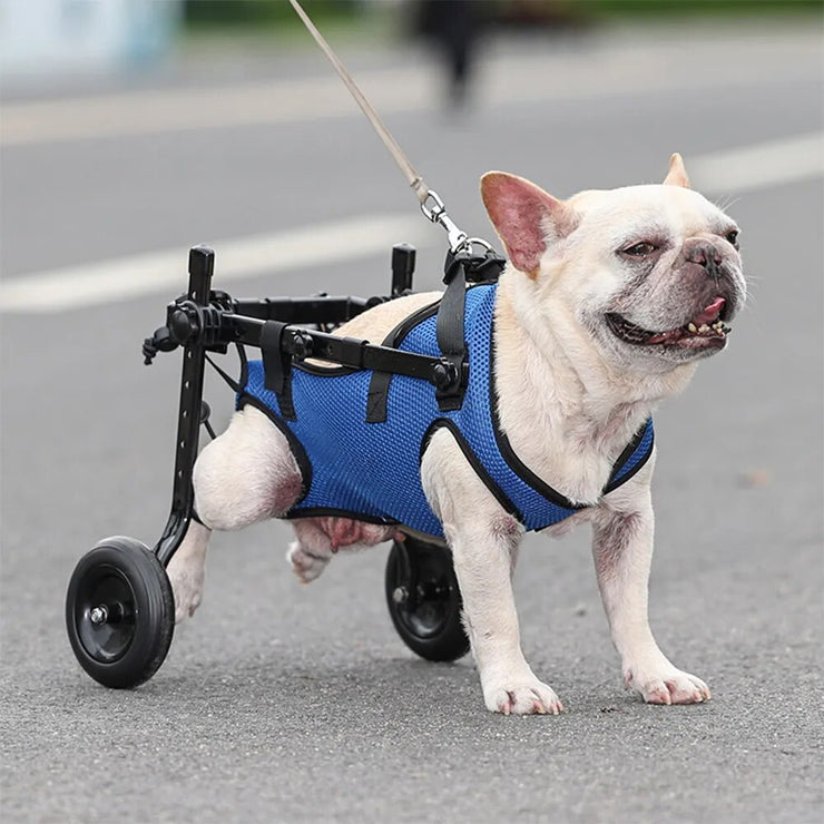 Affortable Dog Wheelchair Disability Adjustable Dog Hind Legs Bracket Cat Dog Injured And Weak Rehabilitation Aid