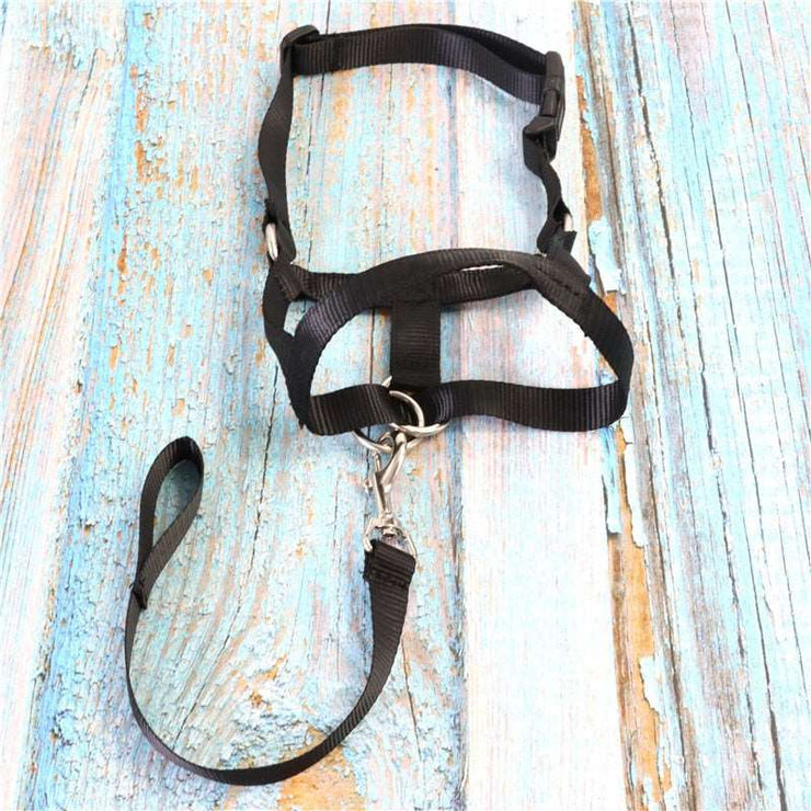 Anti Pull To Stop Pulling on The Lead Easy To Use Dog Muzzle Adjustable Anti-bite Professional Anti-Pull Training Aid Dog