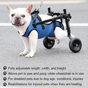 Affortable Dog Wheelchair Disability Adjustable Dog Hind Legs Bracket Cat Dog Injured And Weak Rehabilitation Aid