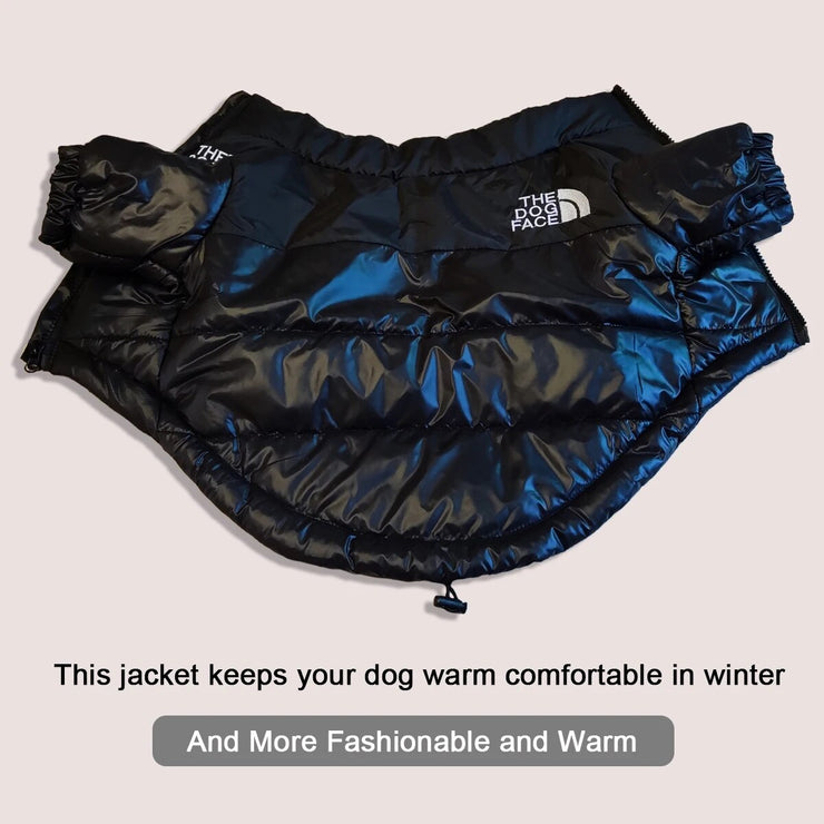 THE DOG FACE JACKET (ADORABLE) WINTER OR WINDBREAKER XS-XXXL SIZES