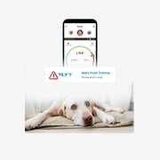 Waggle RV/Dog Safety Wireless pet monitor with GPS ( Verizon ) Alerts on temp / humidity / geofence via SMS/email 24/7