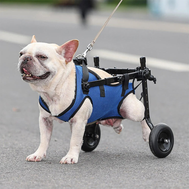 Affortable Dog Wheelchair Disability Adjustable Dog Hind Legs Bracket Cat Dog Injured And Weak Rehabilitation Aid