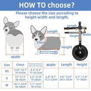 Affortable Dog Wheelchair Disability Adjustable Dog Hind Legs Bracket Cat Dog Injured And Weak Rehabilitation Aid