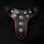 BIJOU LEATHER DOG HARNESS BLACK AND RED - GENUINE LEATHER - TOP QUALITY - HANDCRAFTED