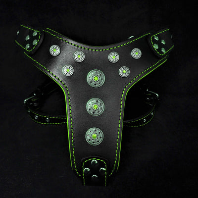 BIJOU LEATHER DOG HARNESS BLACK AND GREEN - GENUINE LEATHER - TOP QUALITY - HANDCRAFTED