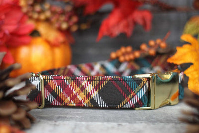 Autumn Dog Collar and  Plaid Dog Collar *Best Seller*  Handmade - Many size choices
