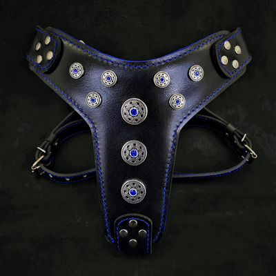 BIJOU LEATHER DOG HARNESS BLACK AND BLUE - GENUINE LEATHER - TOP QUALITY - HANDCRAFTED