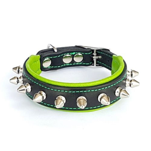 Puppy Spike Collar - My first spike collar