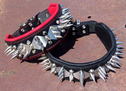 Spiked Stainless Steel Predator Collar - Handcrafted - Genuine Leather - Imported