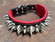 Spiked Stainless Steel Predator Collar - Handcrafted - Genuine Leather - Imported