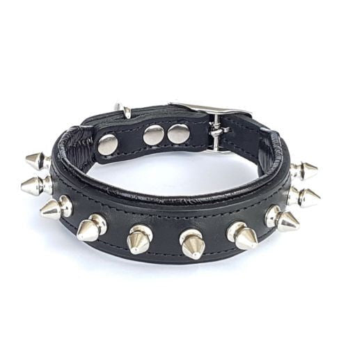 Puppy Spike Collar - My first spike collar