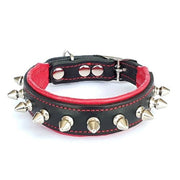 Puppy Spike Collar - My first spike collar