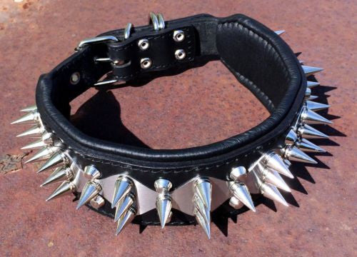 Spiked Stainless Steel Predator Collar - Handcrafted - Genuine Leather - Imported