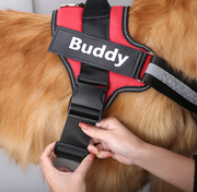 Custom Name Dog Harness