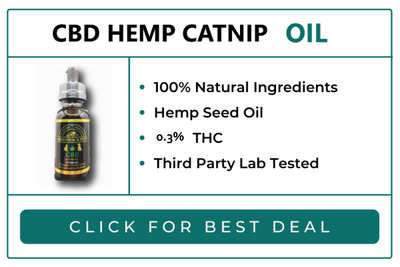 Catnip Oil CBD Tincture for Pets 120mgs – Holistic Formula with MCT and Omega-3s