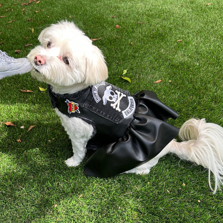 PUPS OF ANARCHY - Faux Leather Dress