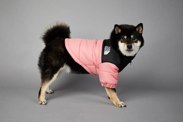 Adorable Designer The Dog Fan Warm Winter Dog Jacket for Small to 5X Size