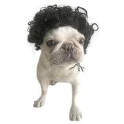 Pet Costumes Dog Cat Wig Synthetic Accessories Small Dog Headwear for Halloween or Props Black or Blonde Wig