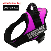 K9 Nylon Personalized Dog harness Reflective Adjustable Pet Harness for Sizes XS to XL  No Pull Dog Harness with custom tag and color options Service Dog