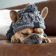 Adorable Dog Knitted Hat  Sizes Small - Large