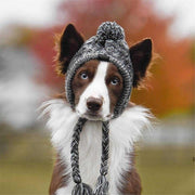 Adorable Dog Knitted Hat  Sizes Small - Large