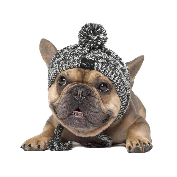 Adorable Dog Knitted Hat  Sizes Small - Large