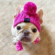 Adorable Dog Knitted Hat  Sizes Small - Large