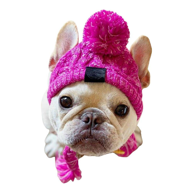 Adorable Dog Knitted Hat  Sizes Small - Large