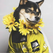 THE DOG FACE RAIN COAT RAIN JACKET WIND BREAKER  SMALL - 5XL