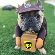 Pet Costume UPS and USPS Pal For Dog Cats for all occasions (FREE SHIPMENT)  and the scary knife Halloween costume