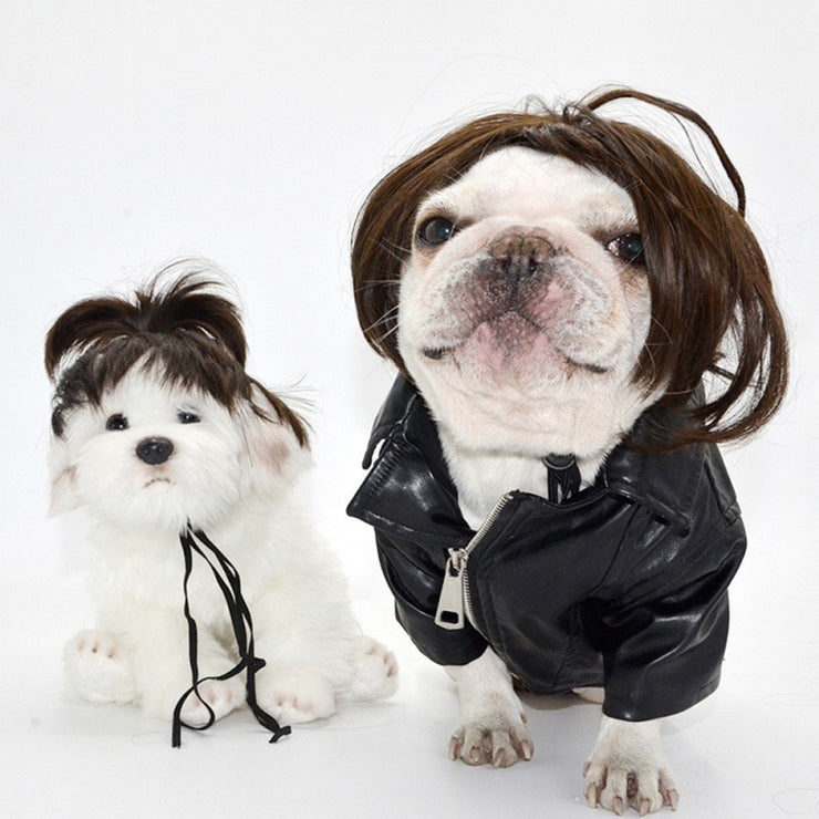 Pet Dog Costumes for Small Dog or Cat and used online as the Funny Karen Dog / Cat Wig