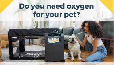 BUSTER ICU OXYGEN CAGE FOR PETS
