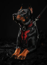 RED DRAGON LEATHER DOG HARNESS - TOP QUALITY - HANDCRAFTED - GENUINE LEATHER