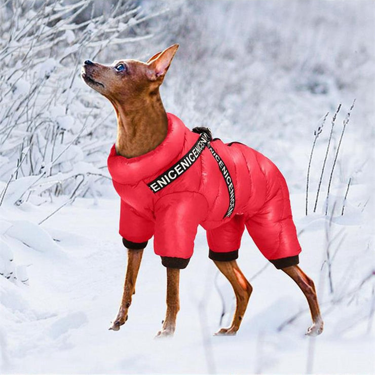 Winter Dog Jacket Coat With Harness For Small Medium Dogs Size Small to XL
