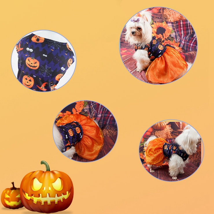 Pet Dog or Cat Pumpkin or Skull Halloween Costume or for Cosplay (FREE SHIPMENT)