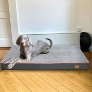 Orthopedic Dog Bed Kennel Memory Foam Waterproof Pet Bed with Removable Washable Cover Nonskid Bottom Joint Relief  XXL and XXXL Only Available FREE SHIPMENT