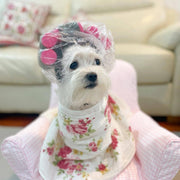 Halloween Dog Curler Rollers Hat for Small Dogs or Cat Wig Cap Cosplay (FREE SHIPMENT)