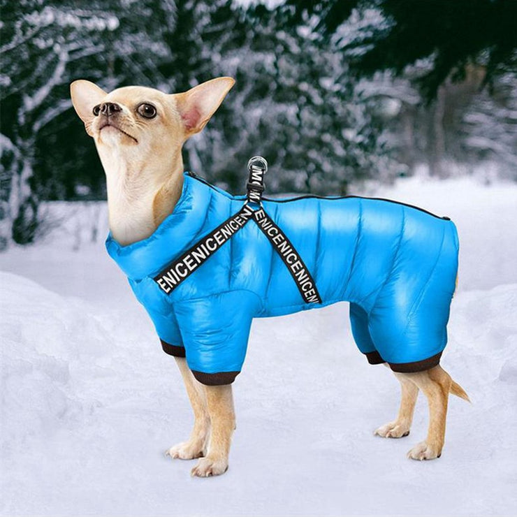 Winter Dog Jacket Coat With Harness For Small Medium Dogs Size Small to XL