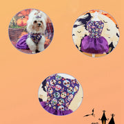 Pet Dog or Cat Pumpkin or Skull Halloween Costume or for Cosplay (FREE SHIPMENT)