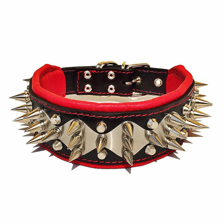 Spiked Stainless Steel Predator Collar - Handcrafted - Genuine Leather - Imported