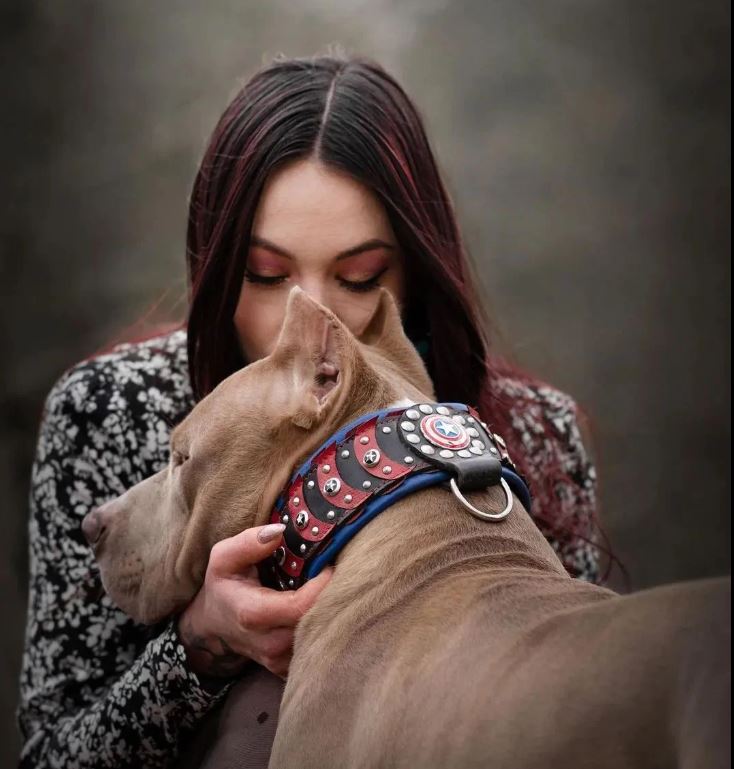 CAPTAIN AMERICA DOG COLLAR -  TOP QUALITY HANDCRAFTED - GENUINE LEATHER