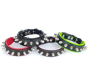 Puppy Spike Collar - My first spike collar