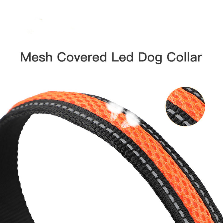 Dog Nylon Collar USB Flashing Charging LED Light Reflective Anti-Lost Rechargeable Glow Dog for Small Medium Large Dogs Supplies